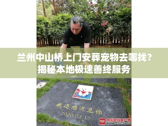 兰州中山桥上门安葬宠物去哪找？揭秘本地极速善终服务