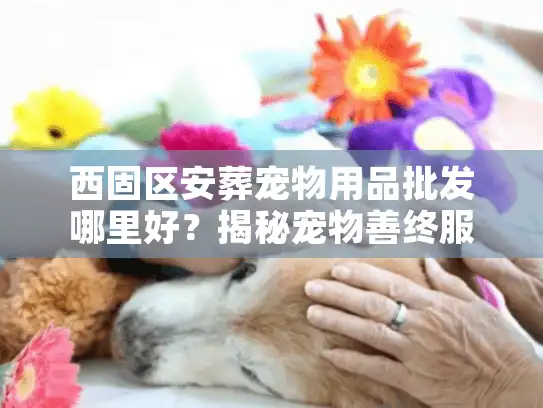 西固区安葬宠物用品批发哪里好？揭秘宠物善终服务选材的门道