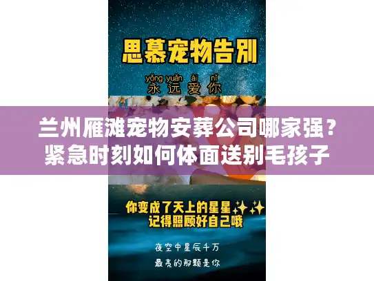 兰州雁滩宠物安葬公司哪家强？紧急时刻如何体面送别毛孩子