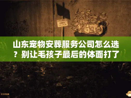 山东宠物安葬服务公司怎么选？别让毛孩子最后的体面打了折