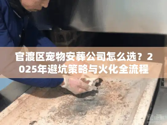 官渡区宠物安葬公司怎么选？2025年避坑策略与火化全流程揭秘