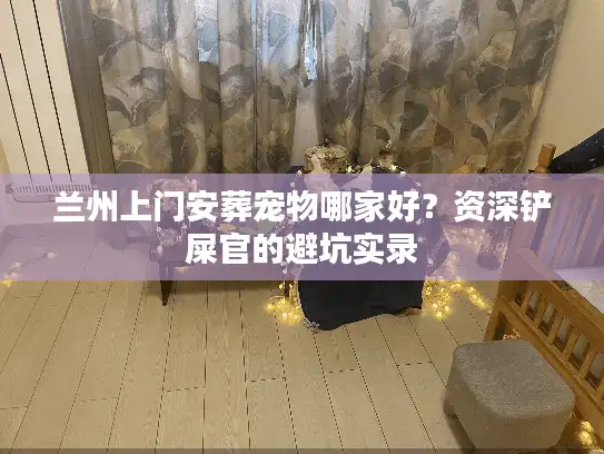 兰州上门安葬宠物哪家好？资深铲屎官的避坑实录