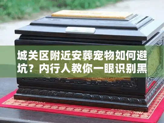 城关区附近安葬宠物如何避坑？内行人教你一眼识别黑店