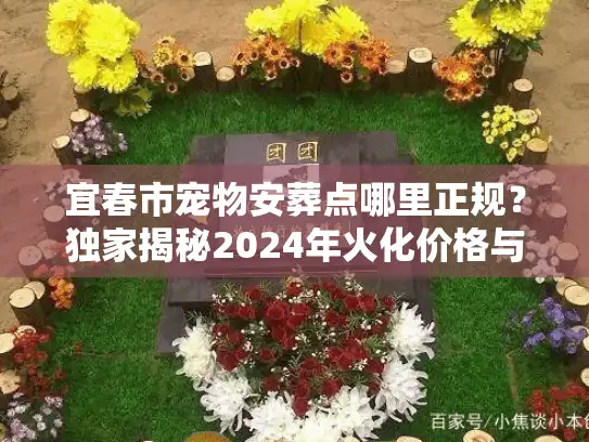 宜春市宠物安葬点哪里正规？独家揭秘2024年火化价格与告别流程
