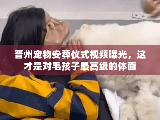 晋州宠物安葬仪式视频曝光，这才是对毛孩子最高级的体面