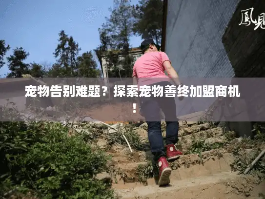 宠物告别难题？探索宠物善终加盟商机！