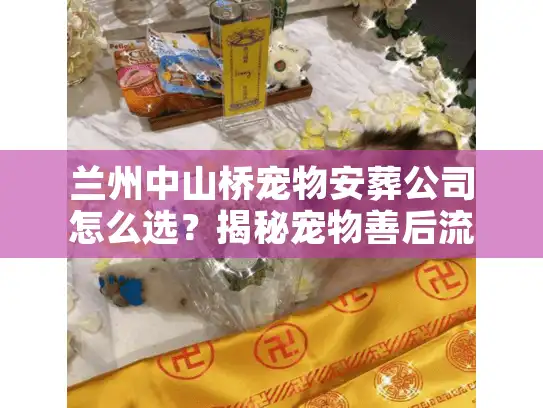 兰州中山桥宠物安葬公司怎么选？揭秘宠物善后流程与避坑真相