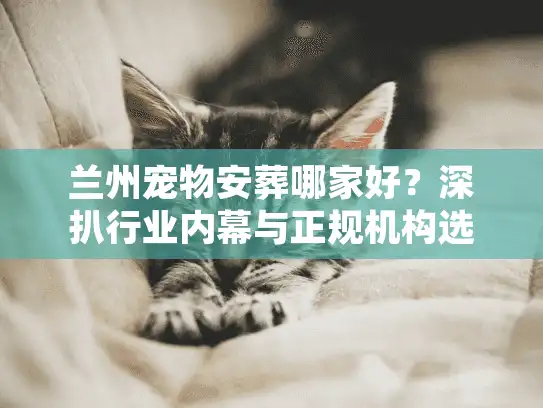 兰州宠物安葬哪家好？深扒行业内幕与正规机构选择