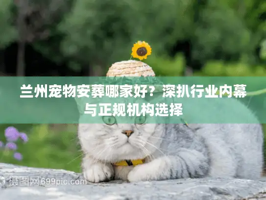 兰州宠物安葬哪家好？深扒行业内幕与正规机构选择