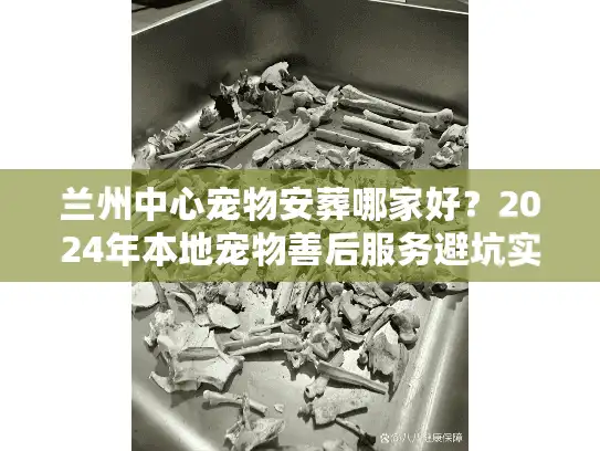兰州中心宠物安葬哪家好？2024年本地宠物善后服务避坑实录
