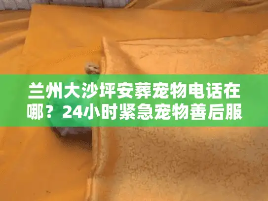 兰州大沙坪安葬宠物电话在哪？24小时紧急宠物善后服务