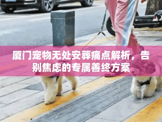 厦门宠物无处安葬痛点解析，告别焦虑的专属善终方案