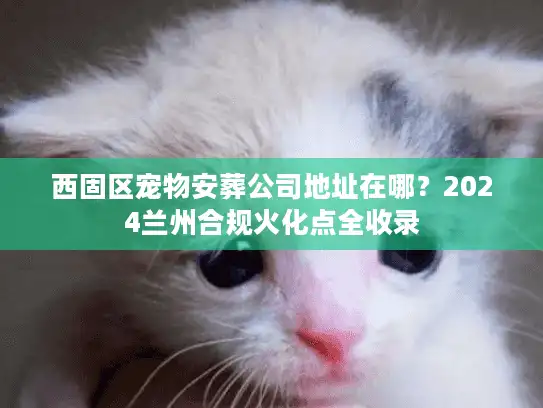 西固区宠物安葬公司地址在哪？2024兰州合规火化点全收录