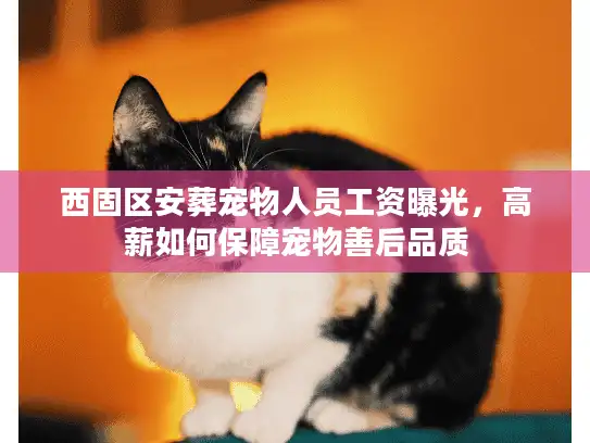 西固区安葬宠物人员工资曝光，高薪如何保障宠物善后品质