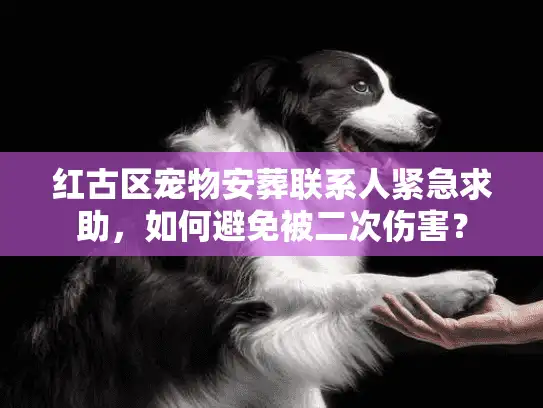 红古区宠物安葬联系人紧急求助，如何避免被二次伤害？
