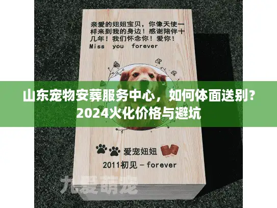 山东宠物安葬服务中心，如何体面送别？2024火化价格与避坑