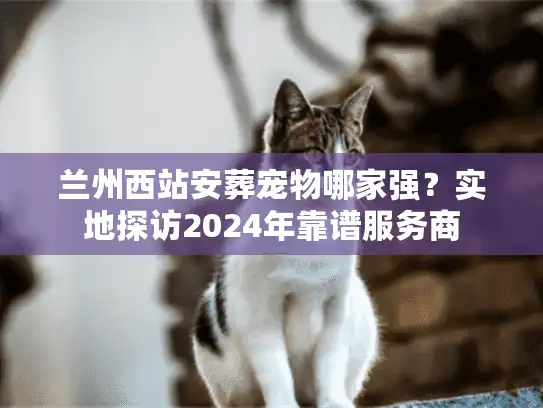 兰州西站安葬宠物哪家强？实地探访2024年靠谱服务商