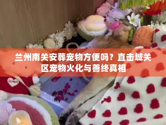 兰州南关安葬宠物方便吗？直击城关区宠物火化与善终真相