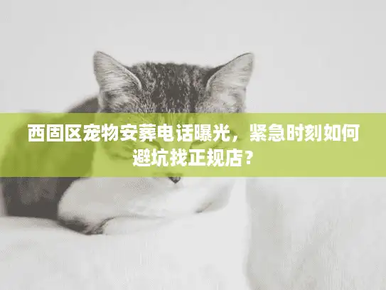 西固区宠物安葬电话曝光，紧急时刻如何避坑找正规店？
