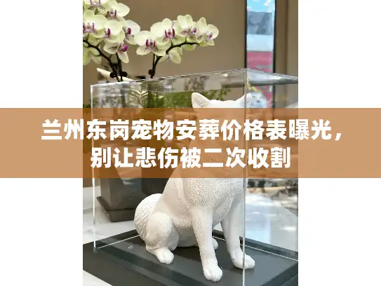 兰州东岗宠物安葬价格表曝光，别让悲伤被二次收割