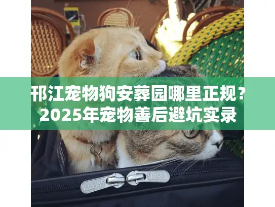 邗江宠物狗安葬园哪里正规？2025年宠物善后避坑实录