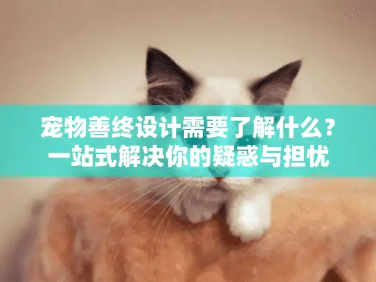 宠物善终设计需要了解什么？一站式解决你的疑惑与担忧