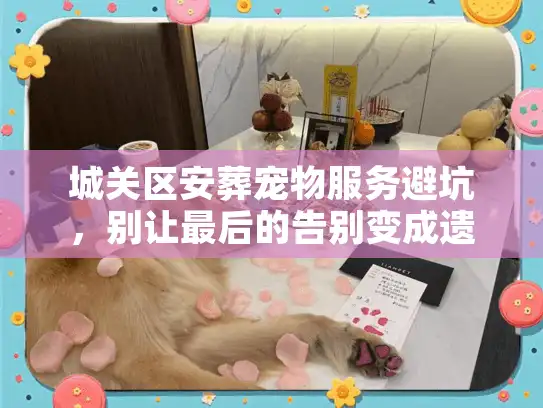 城关区安葬宠物服务避坑，别让最后的告别变成遗憾