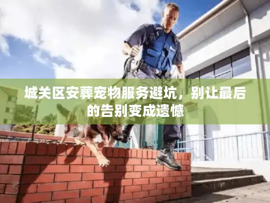 城关区安葬宠物服务避坑，别让最后的告别变成遗憾
