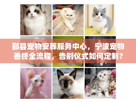 鄞县宠物安葬服务中心，宁波宠物善终全流程，告别仪式如何定制？