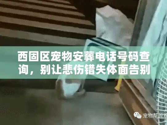 西固区宠物安葬电话号码查询，别让悲伤错失体面告别