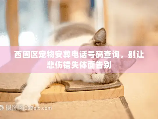 西固区宠物安葬电话号码查询，别让悲伤错失体面告别