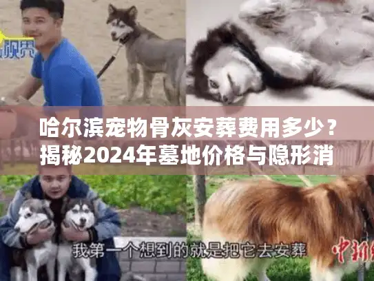 哈尔滨宠物骨灰安葬费用多少？揭秘2024年墓地价格与隐形消费