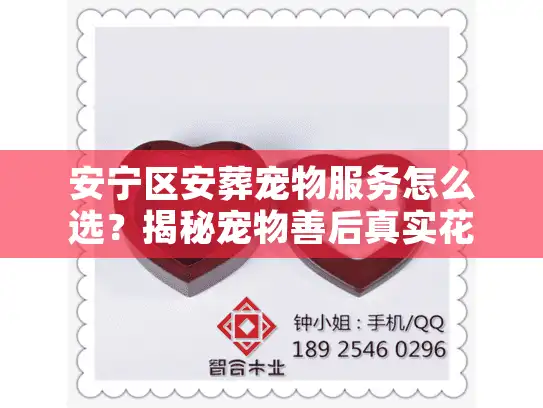 安宁区安葬宠物服务怎么选？揭秘宠物善后真实花费与告别全流程