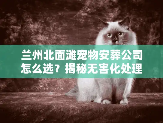 兰州北面滩宠物安葬公司怎么选？揭秘无害化处理内幕
