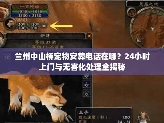 兰州中山桥宠物安葬电话在哪？24小时上门与无害化处理全揭秘