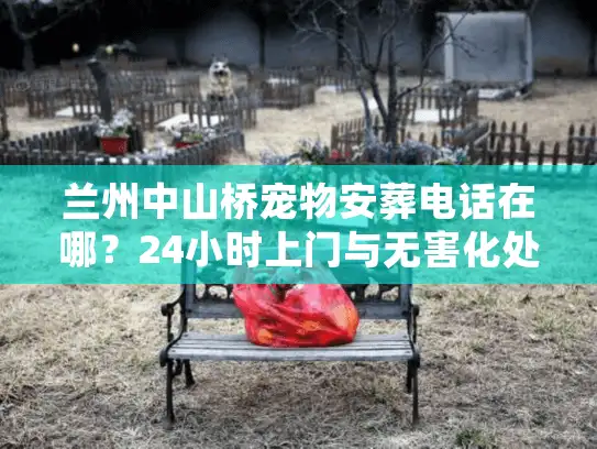 兰州中山桥宠物安葬电话在哪？24小时上门与无害化处理全揭秘