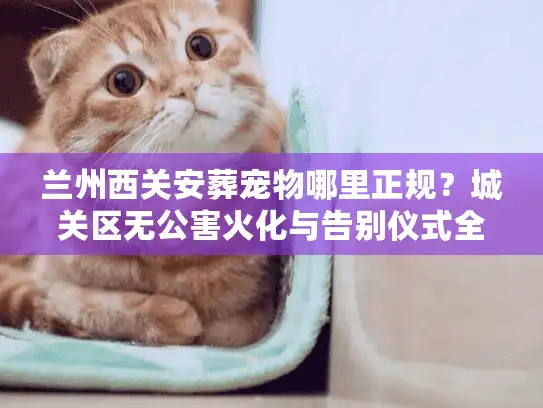 兰州西关安葬宠物哪里正规？城关区无公害火化与告别仪式全解