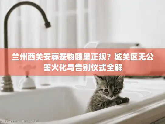 兰州西关安葬宠物哪里正规？城关区无公害火化与告别仪式全解