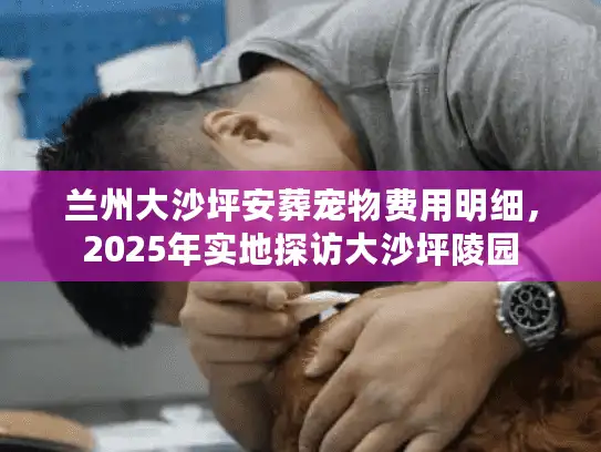兰州大沙坪安葬宠物费用明细，2025年实地探访大沙坪陵园