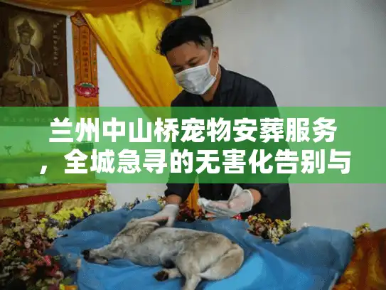 兰州中山桥宠物安葬服务，全城急寻的无害化告别与骨灰寄存