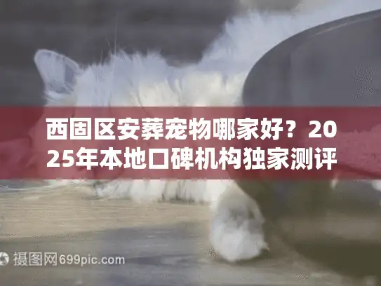 西固区安葬宠物哪家好？2025年本地口碑机构独家测评与避坑
