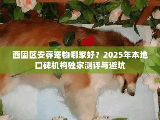 西固区安葬宠物哪家好？2025年本地口碑机构独家测评与避坑