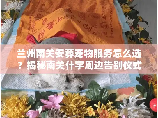 兰州南关安葬宠物服务怎么选？揭秘南关什字周边告别仪式避坑门道