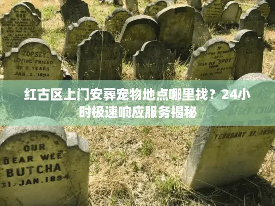 红古区上门安葬宠物地点哪里找？24小时极速响应服务揭秘