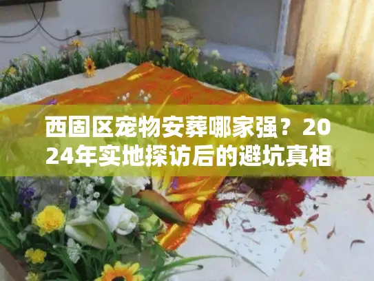 西固区宠物安葬哪家强？2024年实地探访后的避坑真相与优选建议