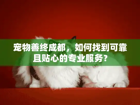 宠物善终成都，如何找到可靠且贴心的专业服务？