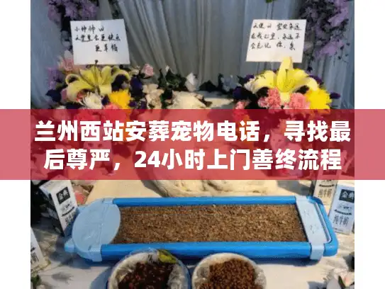 兰州西站安葬宠物电话，寻找最后尊严，24小时上门善终流程