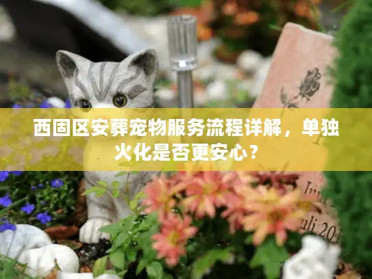 西固区安葬宠物服务流程详解，单独火化是否更安心？