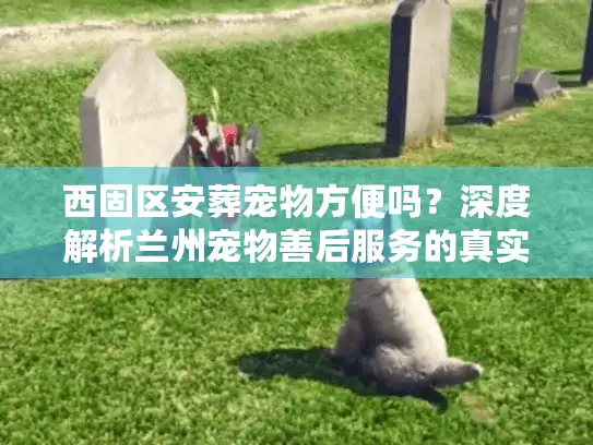 西固区安葬宠物方便吗？深度解析兰州宠物善后服务的真实门道