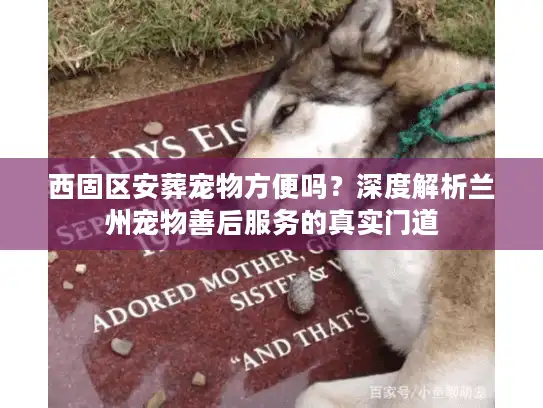 西固区安葬宠物方便吗？深度解析兰州宠物善后服务的真实门道